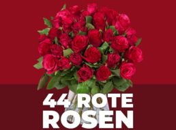 Blume Ideal: 44 rote Rosen für 24,98 Euro frei Haus