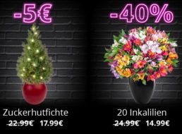 Blume Ideal: Black Friday mit 9 Sträußen ab 14,99 Euro