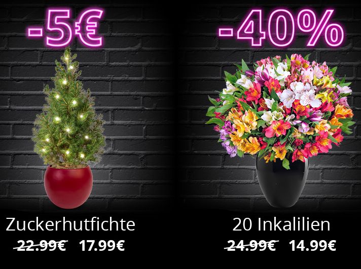 Blume Ideal: Black Friday mit 9 Sträußen ab 14,99 Euro