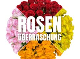 Blumeideal: Rosenüberraschung mit 40 Blumen für 22,94 Euro