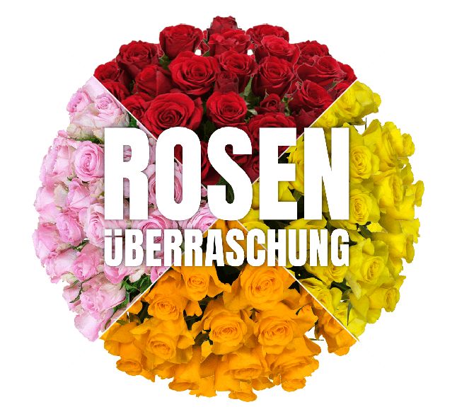 Blumeideal: Rosenüberraschung mit 40 Blumen für 22,94 Euro