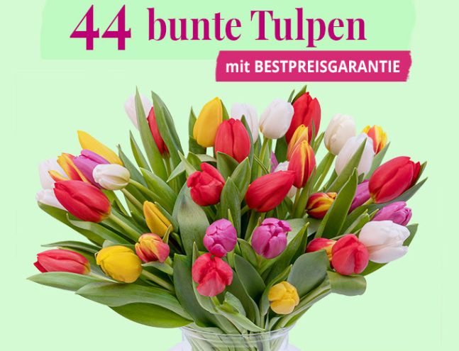 Blumeideal: 44 bunte Tulpen für 22,98 Euro frei Haus