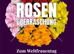 Blumeideal: Rosenüberraschung für unter 25 Euro frei Haus