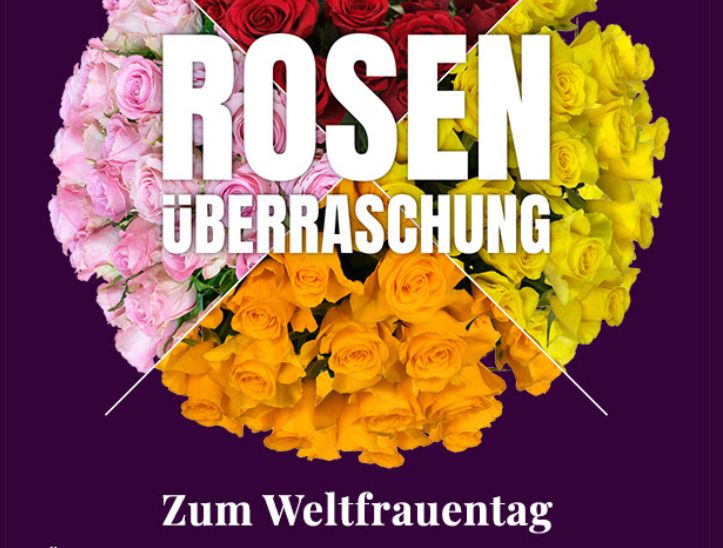 Blumeideal: Rosenüberraschung für unter 25 Euro frei Haus