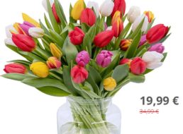 Blumeideal: 44 bunte Tulpen für 24,98 Euro frei Haus