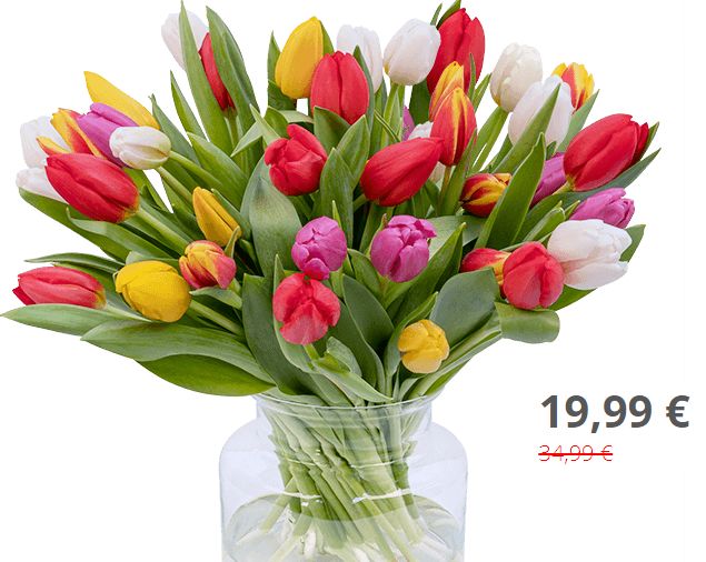 Blumeideal: 44 bunte Tulpen für 24,98 Euro frei Haus