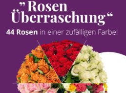 Blumeideal: Rosenüberraschung mit 44 Blumen für 19,99 Euro