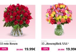 Blumeideal: 33 rote Rosen für 24,98 Euro mit Versand