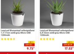 Netto: Smarter Blumentopf „Lazy Leaf“ zum Bestpreis von 14,55 Euro