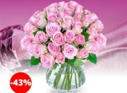 Blumeideal: 35 Rosen in Pink für 24,98 Euro frei Haus