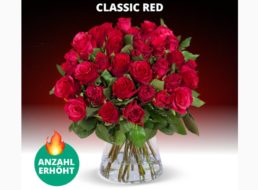 Blumeideal: 37 rote Rosen für 24,98 Euro frei Haus