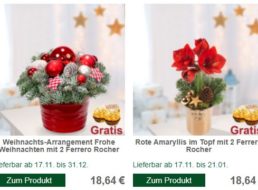 FloraPrima: Weihnachtliche Blumensträuße ab 16,61 Euro mit Gutschein