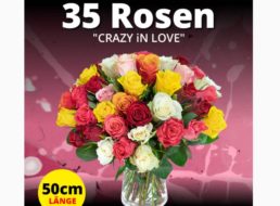 Blumeideal: 35 bunte Rosen für 19,99 Euro plus Versand