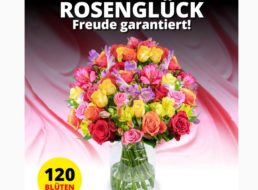 Blumeideal: „Rosenglück XXL“ mit 120 Blüten für 19,99 Euro