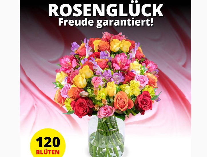 Blumeideal: "Rosenglück XXL" mit 120 Blüten für 19,99 Euro