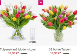 Blumeideal: 20 Tulpen mit Vase für 24,98 Euro frei Haus