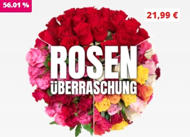 Blumeideal: 50 Überraschungsrosen für 27,98 Euro mit Versand