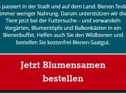 Gratis: Wildblumensamen zum Nulltarif frei Haus