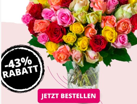 Blumeideal: 33 bunte Rosen für 19,99 Euro plus Versand