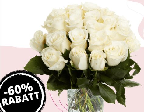 Blumeideal: 44 weiße Rosen für 22,99 Euro