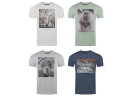 Ebay: Viererpack T-Shirts von Riverso für 27,99 Euro frei Haus