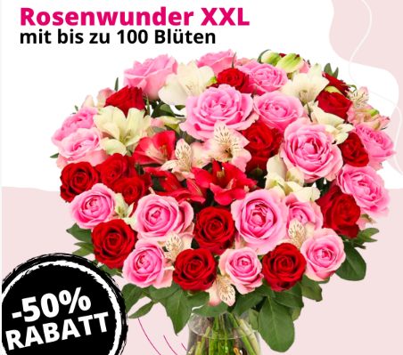 Blumeideal: "Rosenwunder XXL" für 19,99 Euro