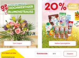 Netto Online: 10 Euro Rabatt ab 100 Euro Warenwert