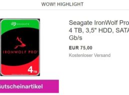 Ebay: NAS-Festplatte von Seagate mit 4 TByte als B-Ware für 67,50 Euro