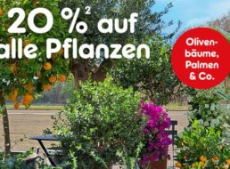 Netto: 20 Prozent auf Pflanzen bis zum 10. August