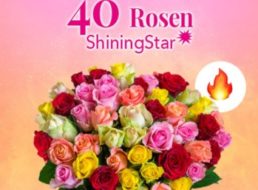 Blumeideal: 40 bunte Rosen für 19,98 Euro mit Versand