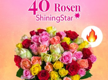 Blumeideal: 40 bunte Rosen für 19,98 Euro mit Versand