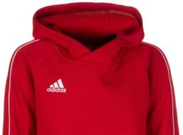 Ebay: Adidas Performance Core 18 in 116 bis 176 für 24,95 Euro frei Haus