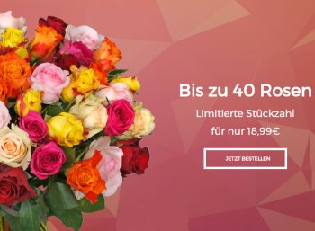 Blume Ideal: Bis zu 40 Rosen für 23,94 Euro frei Haus