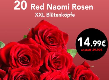 Blumeideal: 20 Rosen mit großem Blütenkopf für 19,98 Euro frei Haus