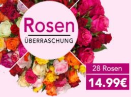 Blumeideal: 28 Rosen für 19,98 Euro frei Haus