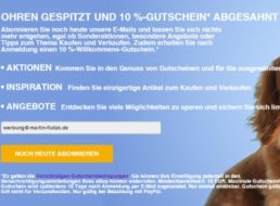 Ebay: Gutschein über zehn Prozent für Newsletter-Abonnenten