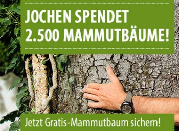 Gratis: Mammutbaum frei Haus via Jochen Schweizer