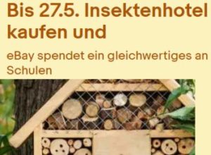 Ebay: Gratis-Insektenhotel für Schulen beim Kauf eines gleichwertigen Modells 