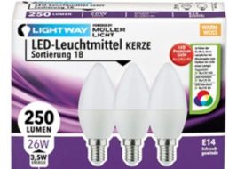 Aldi-Süd: Energiespar-Spezial mit LED-Birnen und -Reflektoren