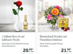 Lidl Blumen: 3 Euro Rabatt ab 19,99 Euro Warenwert