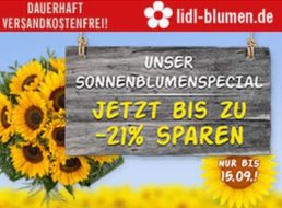 Lidl: Sonnenblumenstrauß für 17,99 Euro frei Haus