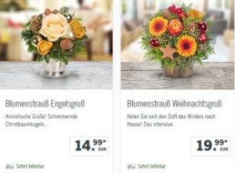 Lidl: Weihnachtliche Blumensträuße ab 10,99 Euro frei Haus