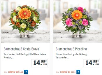 Lidl: Blumenstrauß für 9,99 Euro frei Haus dank Gutschein