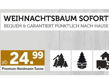 Lidl: Weihnachtsbaum unter 30 Euro mit Lieferung