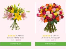 Blumeideal: 17 Lilien mit XXL-Blüten für 21,94 Euro frei Haus