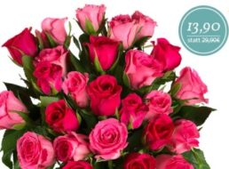 Miflora: 25 Rosen mit persönlicher Karte für 19,80 Euro frei Haus