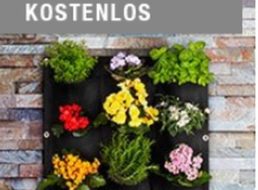 Druckerzubehoer.de: Pflanzen- und Kräuterwand für 5,97 Euro mit Versand