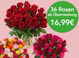 Blumeideal: 36 Rosen mit 50 Zentimeter Länge für 21,94 Euro frei Haus