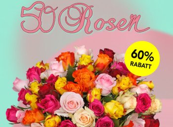 Blumeideal: 50 bunte Rosen für 24,98 Euro inklusive LIeferung