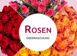 Miflora: Rosenüberraschung mit 18-25 Rosen für 16,90 Euro frei Haus